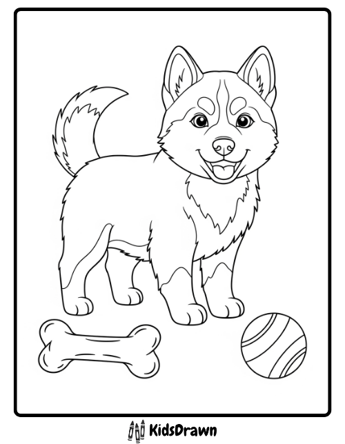 Happy Husky puppy with bone and ball coloring page for kids