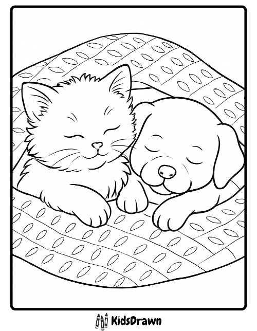 A kitten and a puppy snuggling together peacefully on a patterned blanket