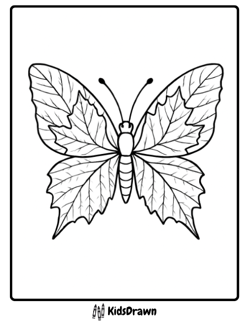Unique coloring page of a butterfly with wings shaped like autumn maple leaves, detailed with veins. Great nature and seasonal activity for children