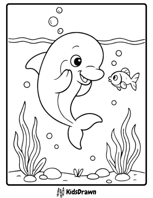 Baby dolphin peekaboo