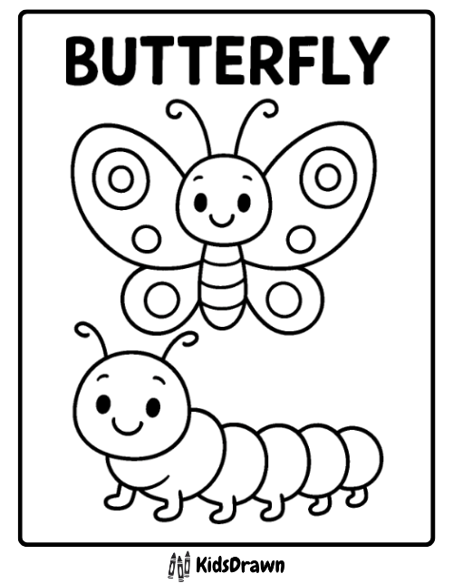Simple coloring page of a cute cartoon butterfly and caterpillar side-by-side, ideal for teaching kids about the life cycle of insects
