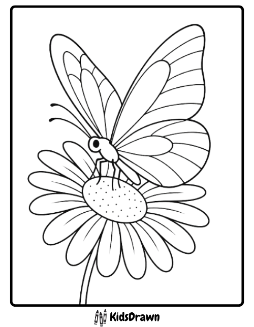 Close-up coloring page of a detailed butterfly with simple wings resting on a large daisy flower or sunflower. Great spring and nature activity for kids
