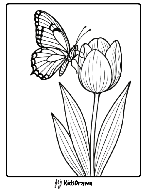 Coloring page of a detailed butterfly with patterned wings landing on a single blooming tulip flower