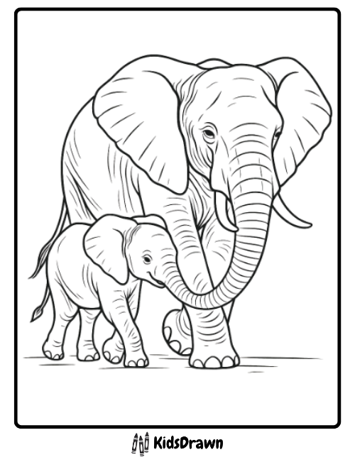 A black and white elephant coloring page shows an adult elephant walking beside a baby, both facing forward. The image has a KidsDrawn label at the bottom, perfect for anyone who loves elephant coloring pages.