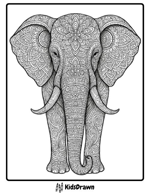 Mandala Elephant Design