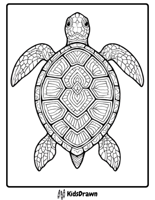Beautiful detailed sea turtle with patterned shell realistic turtle coloring pages for kids and adults to enjoy.