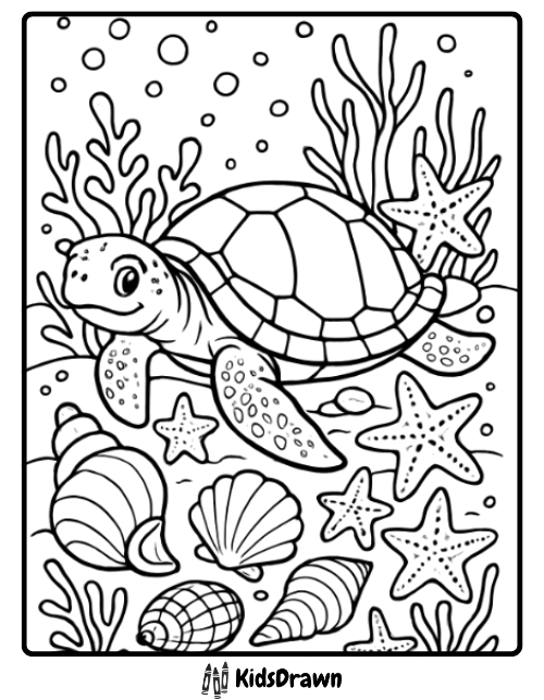 Sea turtle surrounded by starfish and seashells intricate turtle coloring pages for kids and adults to print.
