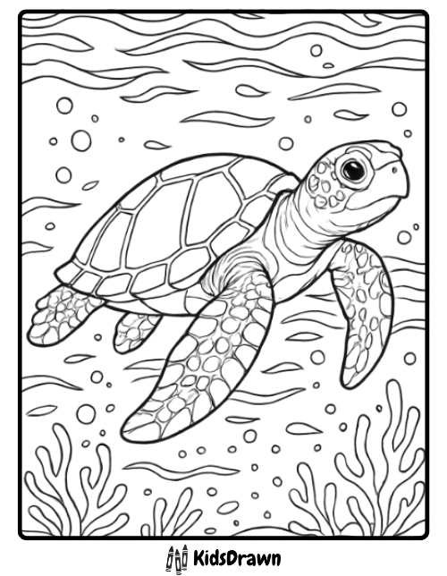 Beautiful sea turtle swimming in clear blue waters realistic turtle coloring pages for ocean and nature lovers.